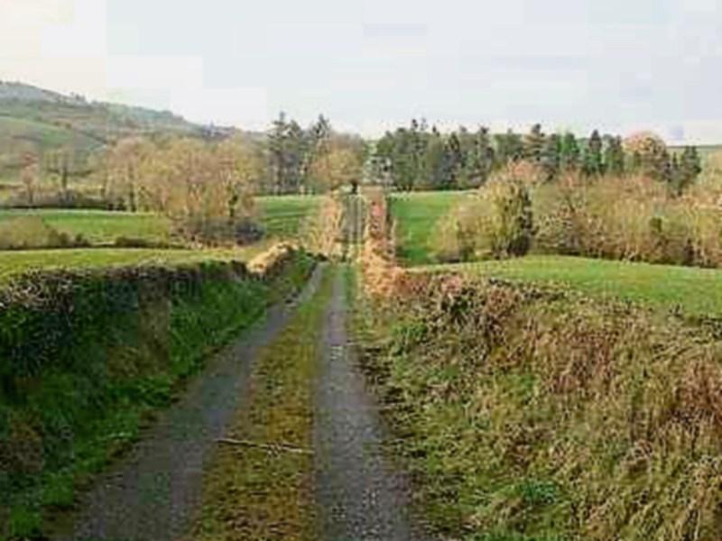 Wild About Wildlife: Exploring forgotten lanes