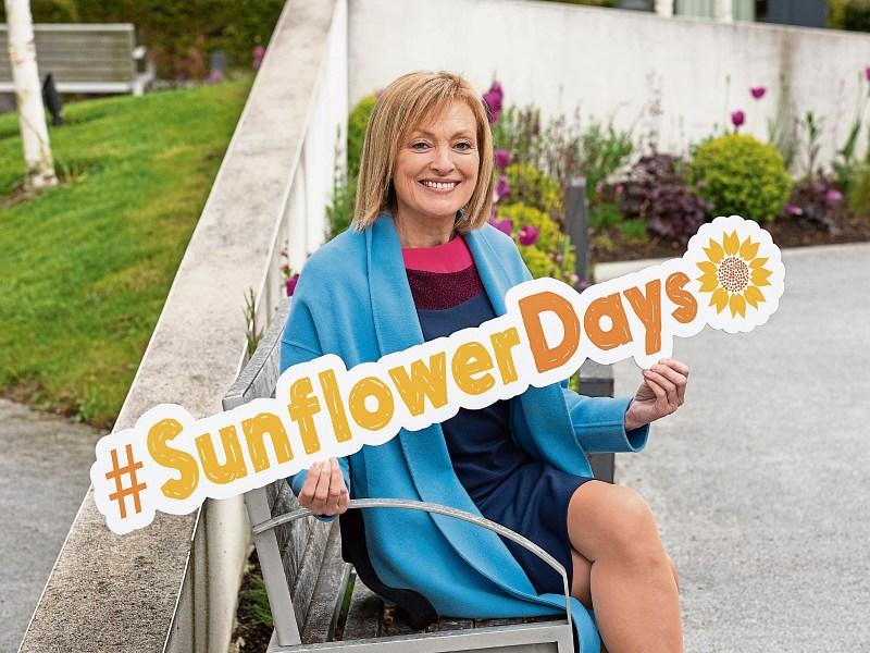 Support Laois Hospice virtual Sunflower Days