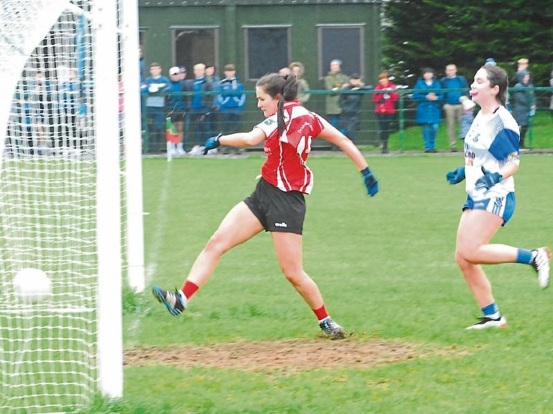 Fowleys lead dominant Dromahair to title