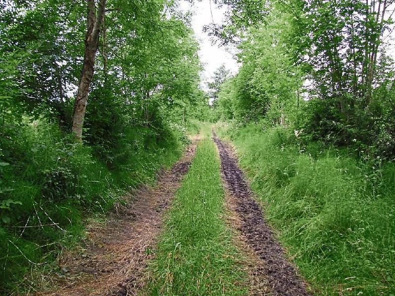 Cavan and Leitrim Railway Greenway Pilot Project allocated €190k