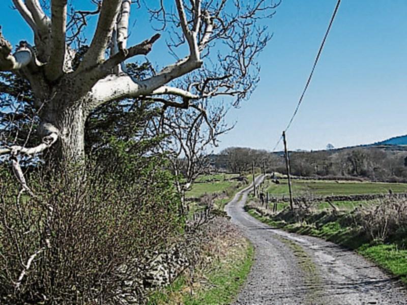 Local Improvement Scheme (LIS) 