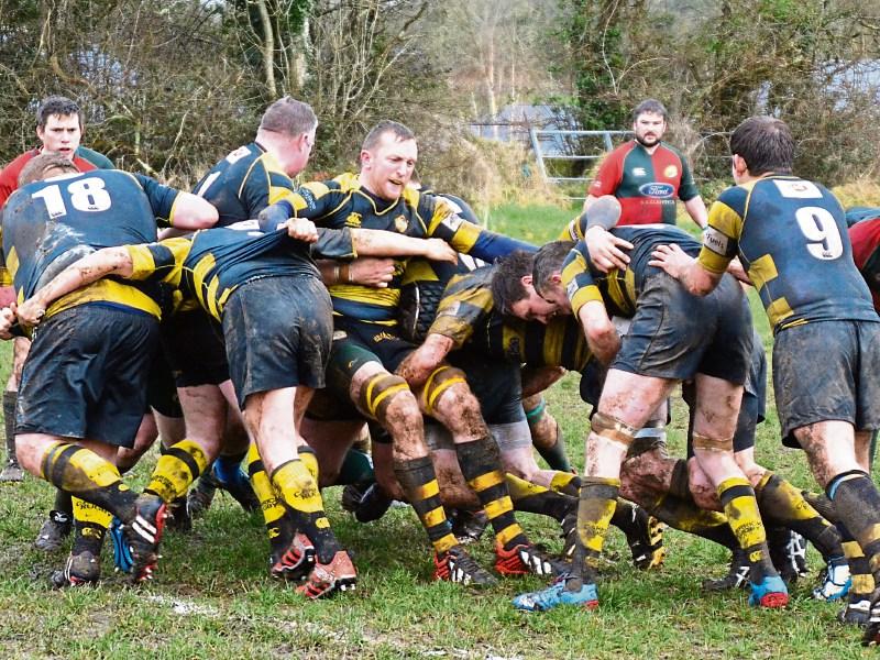 Carrick go top in nail biting finish