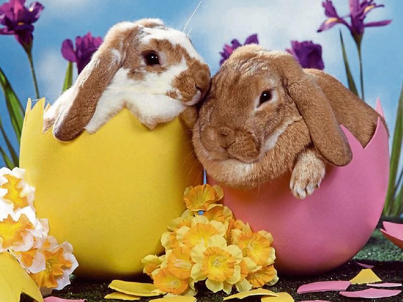 Easter Fun for all the Family  at The Dock
