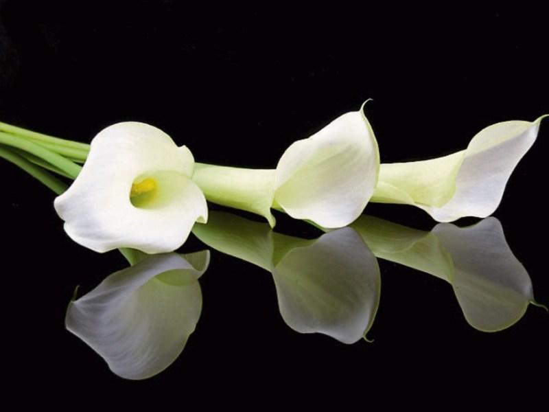 Leitrim Deaths - Sunday, February 19 - Update