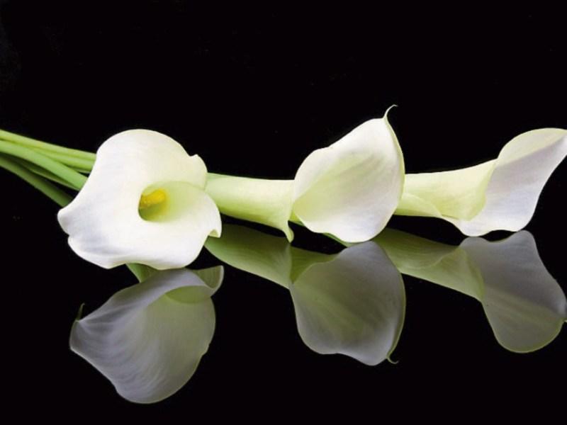 Leitrim deaths - Monday, February 13 - Update