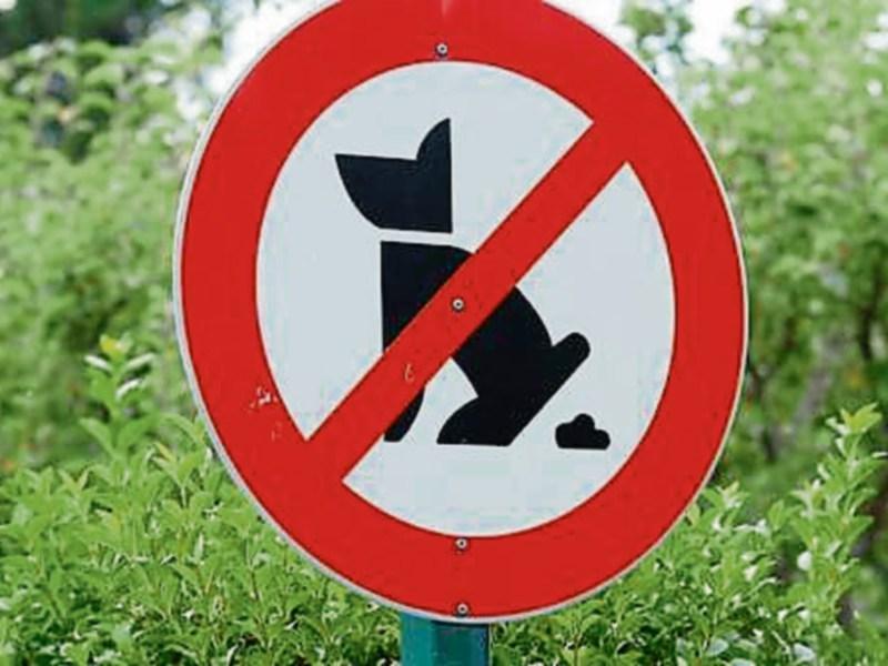 Stricter action on dog fouling urged in Leitrim