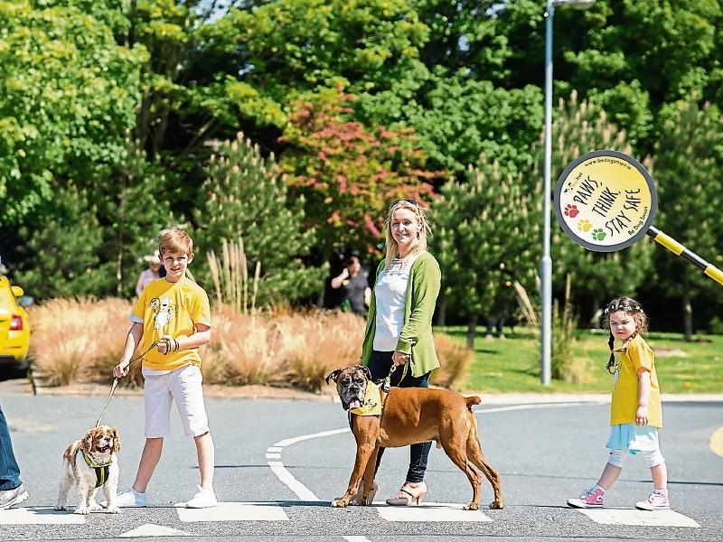 Leitrim Libraries to host free Dog Safety Workshops
