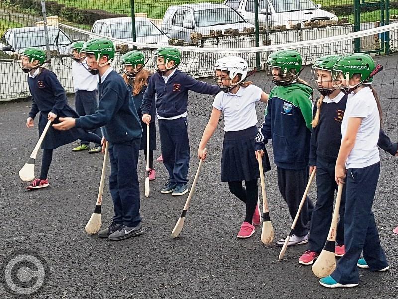 Planting new roots for hurling in Leitrim