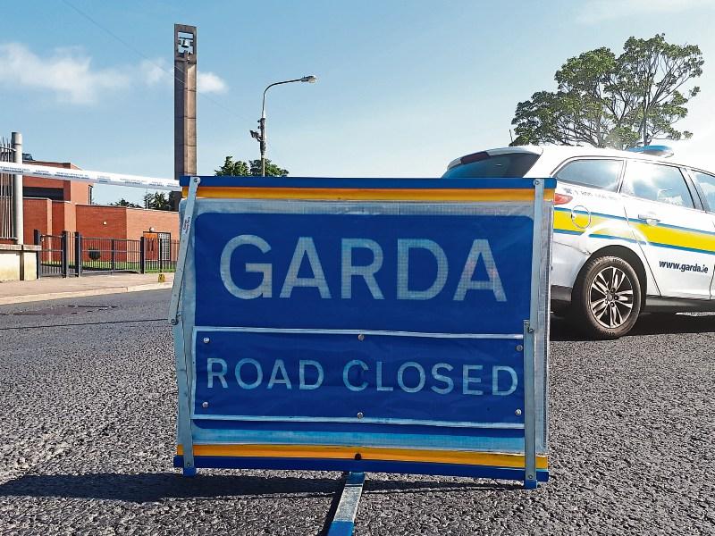 Man in his 40s killed after van collides with tree