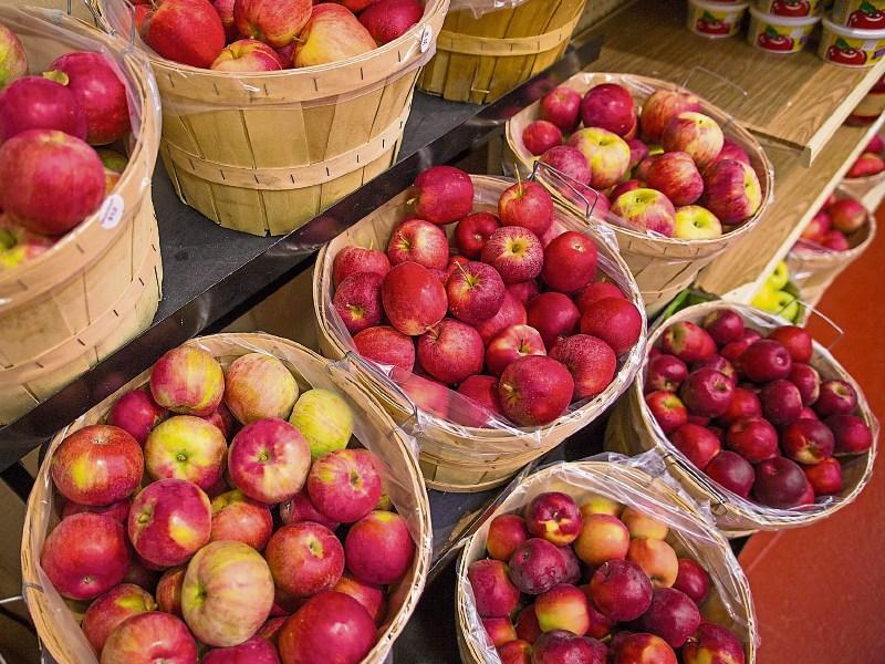 Bumper Organic Centre's Apple Day & Harvest Festival