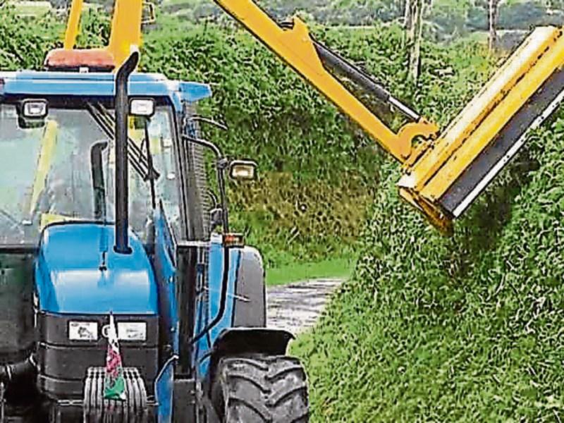 Comment - Battle to halt the fire lighters who threaten vital hedgero