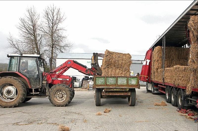 Leitrim farmers await delayed payments from Department of Agriculture