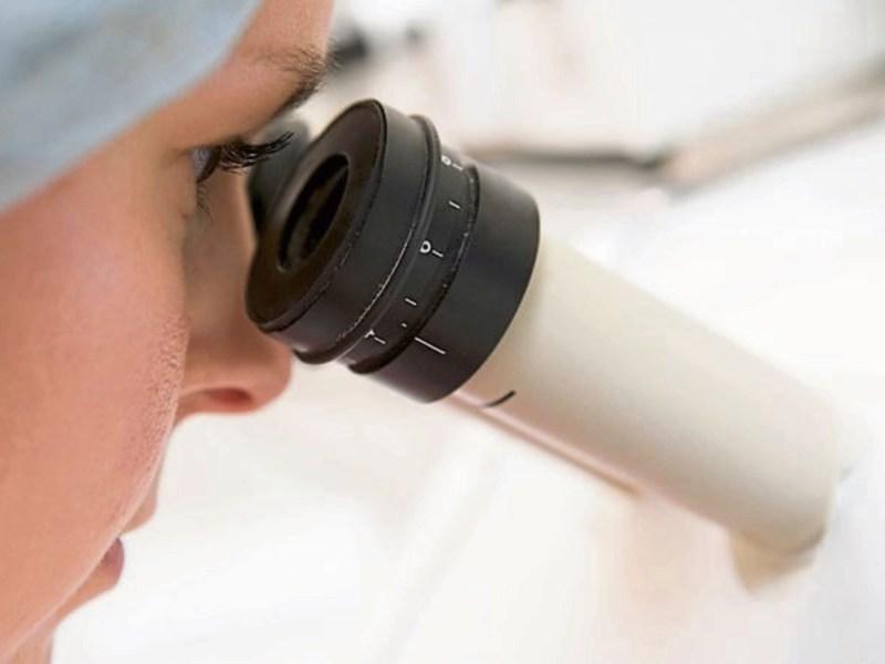 65% of irish adults have never undergone a cancer screening test, but 76% are interested in trying