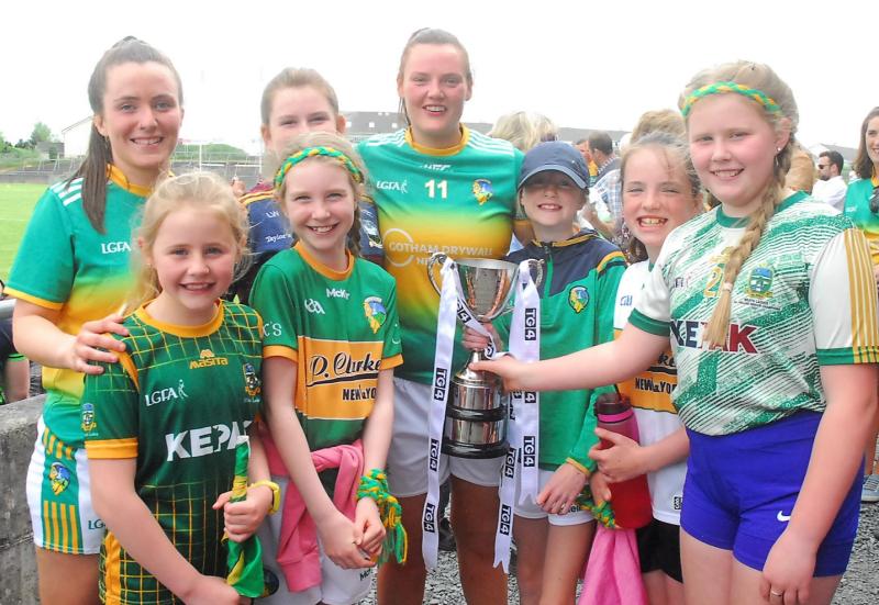 Participation & finance highlighted as key issues for Leitrim LGFA