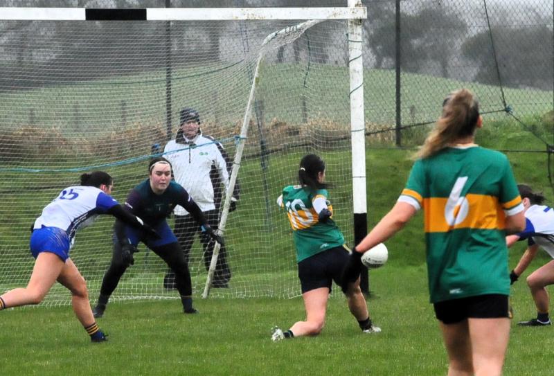 Goals crucial as Leitrim ride their luck against impressive Wicklow
