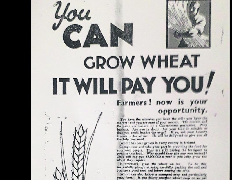 Grow more winter wheat in Leitrim - Agricultural advice given in the 1930s still relevant today