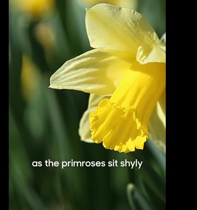 Watch: Seamus O'Rourke's beautiful piece "Recued Time"