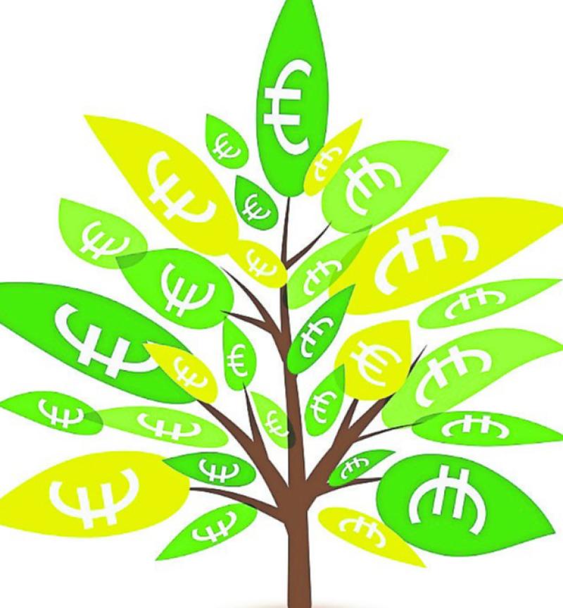 ON THE MONEY:  Protect your money tree