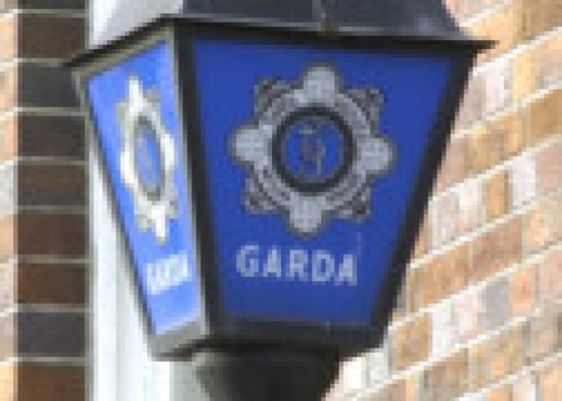 garda siochana