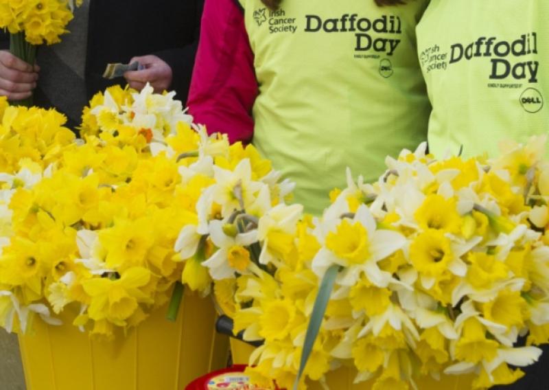 Cancer survivor thanks people of Leitrim for Daffodil Day support