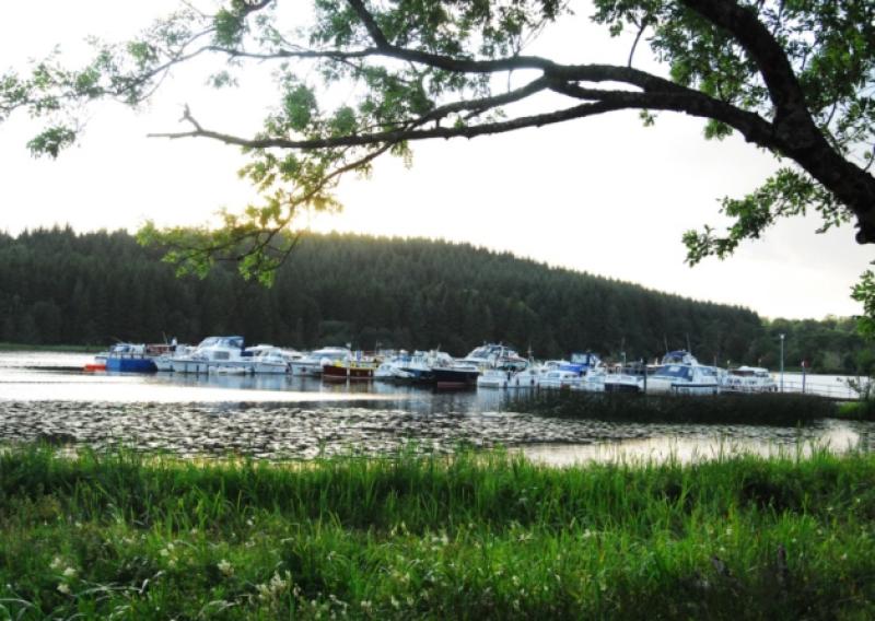 Acres Lake, Drumshanbo