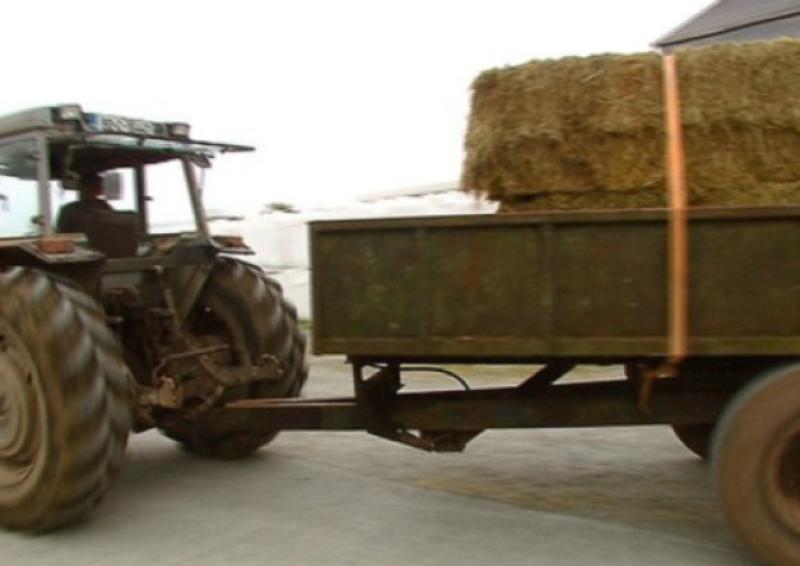 INHFA say fodder package is needed before Christmas