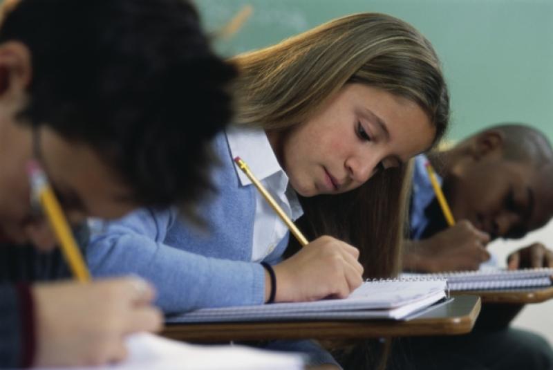 The latest Leaving Cert reform is calling for the pass mark for higher level subjects to be lowered to 40% to 30% . Patricia claims failing builds character and to dumb down the Leaving Cert is a mist