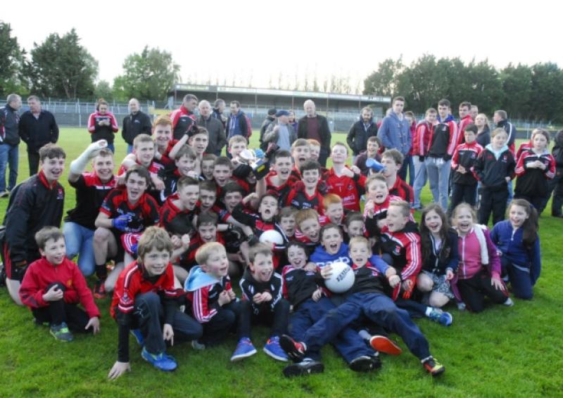 Fenagh's playes and supporters celebrate their victory.