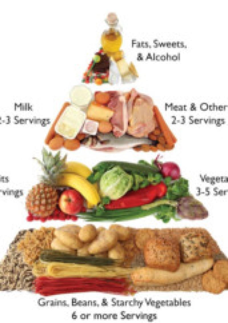 Food Pyramid