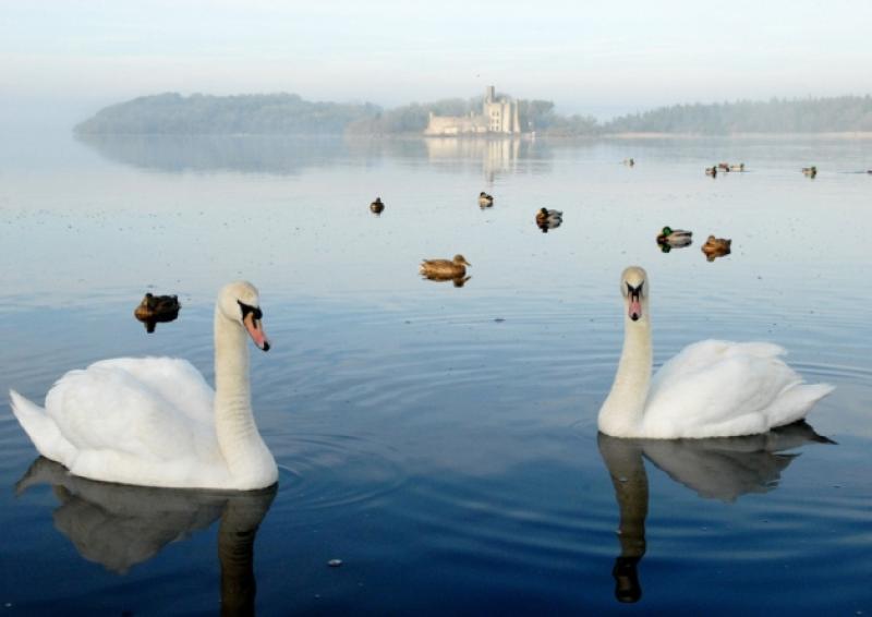 Photography by David Knight and music by Billy Knight on July 30in King House, Boyle.