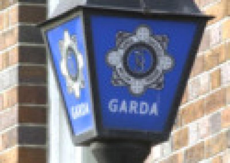 garda siochana