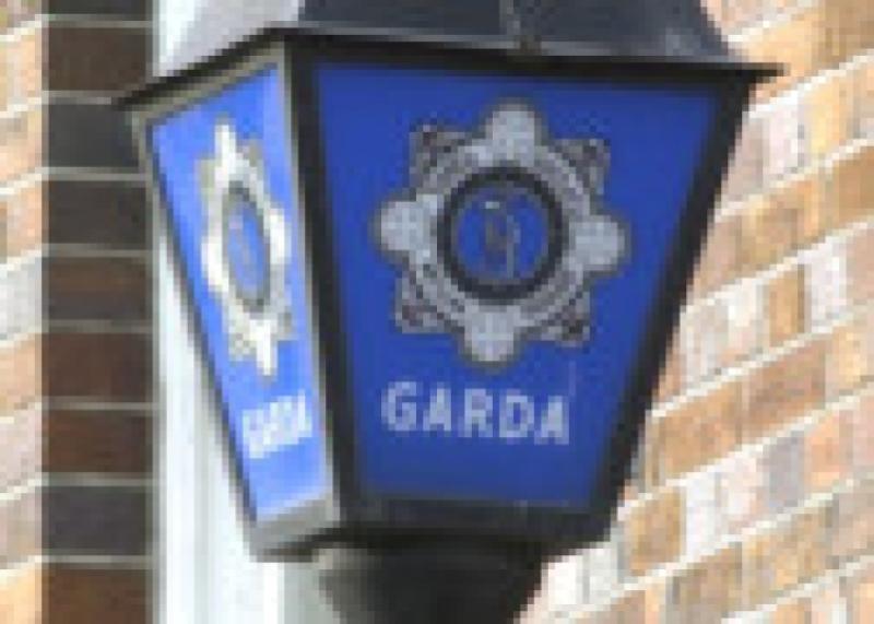 garda siochana