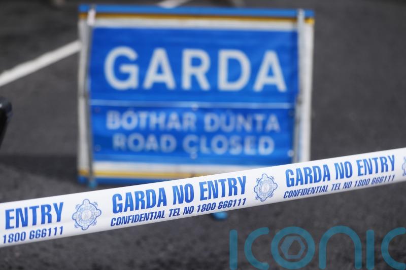 Two children dead after car fire in Co Westmeath