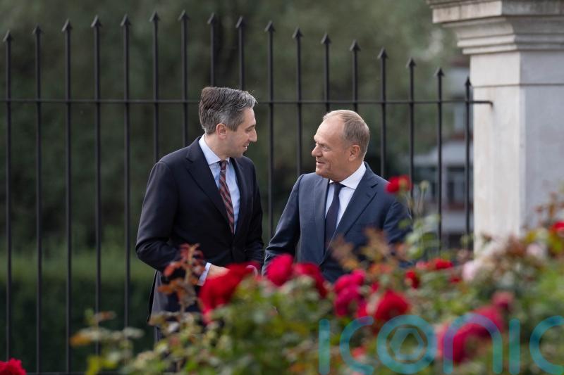 ‘Polish-Irish synergy’ can help shape European policy, Tusk tells Harris