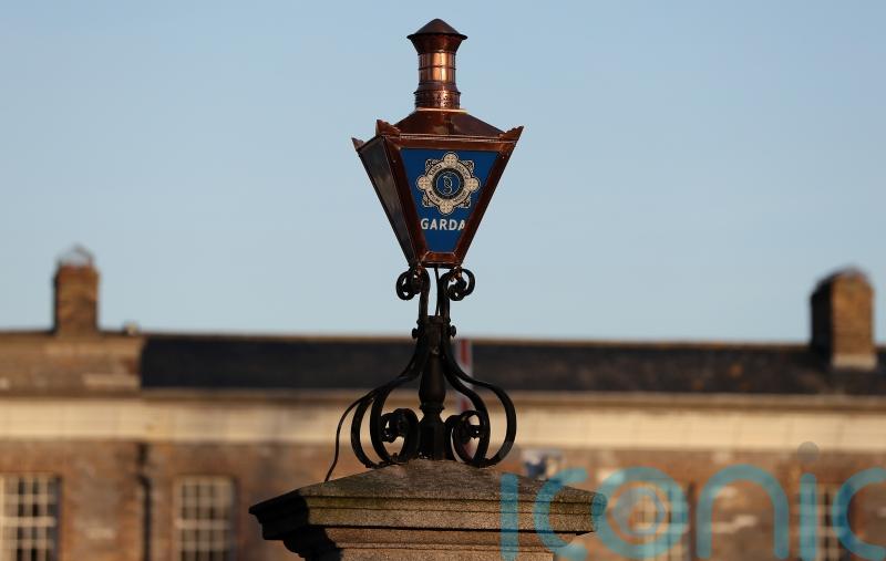 Shots fired at two homes in Ballinasloe