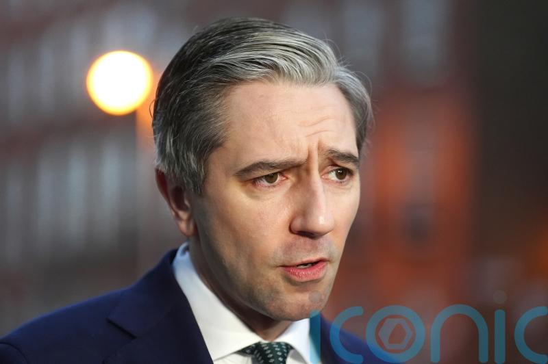 Ireland’s deputy premier to highlight memory of peacekeeper during Lebanon trip