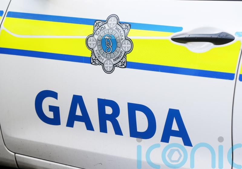 Cocaine and pills with estimated value of 290,000 euros seized in Dublin
