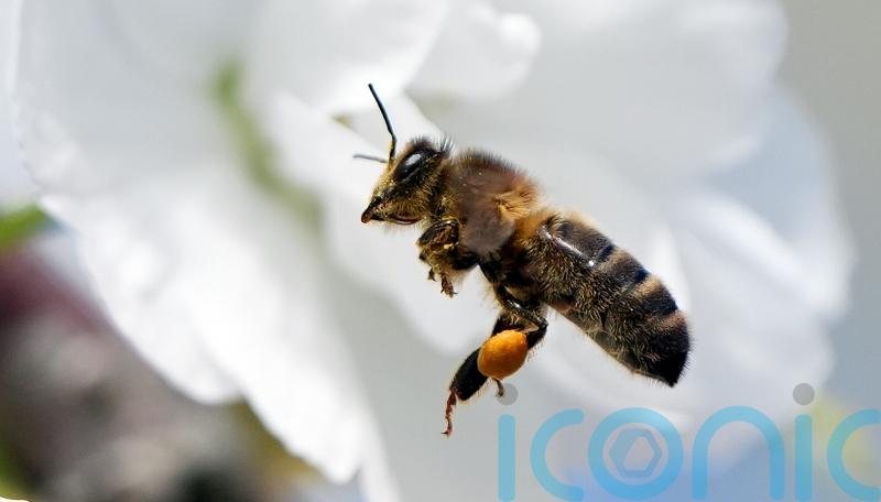 April was third-warmest on record since 1900 – Met Eireann