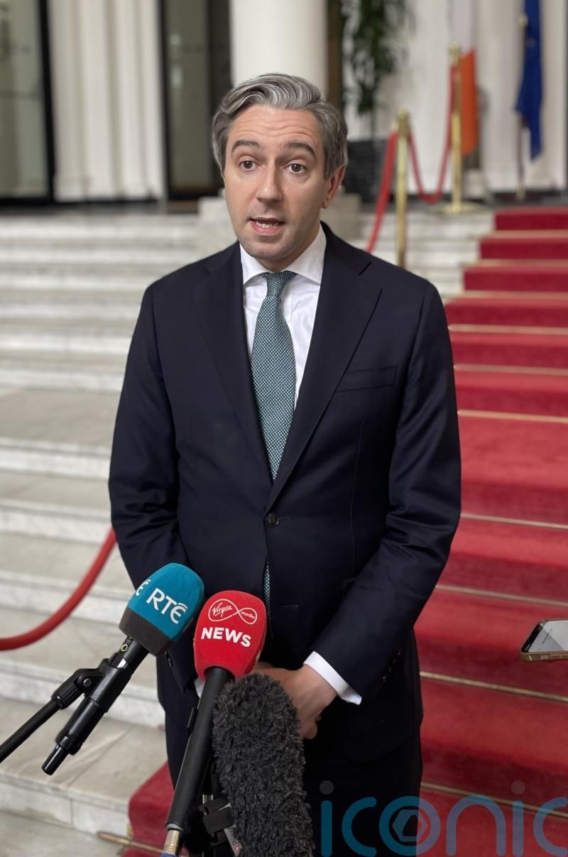 Irish deputy premier to include services from Israeli settlements in trade ban