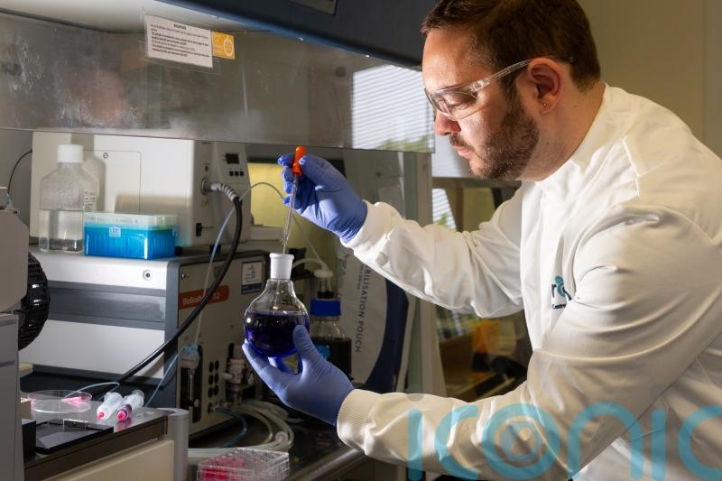 State of the art research into &lsquo;mini brains&rsquo; at University of Galway