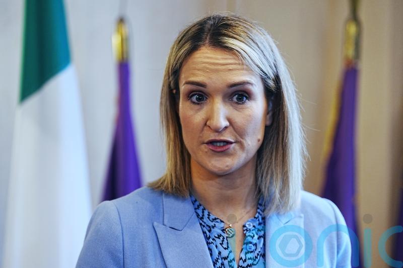 Second flight to Ireland from Middle East expected on Thursday &ndash; McEntee