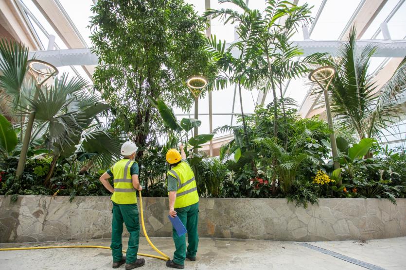 Official opening date announced for €233m Center Parcs Longford Forest: The much-anticipated short break destination will open its doors on July 29