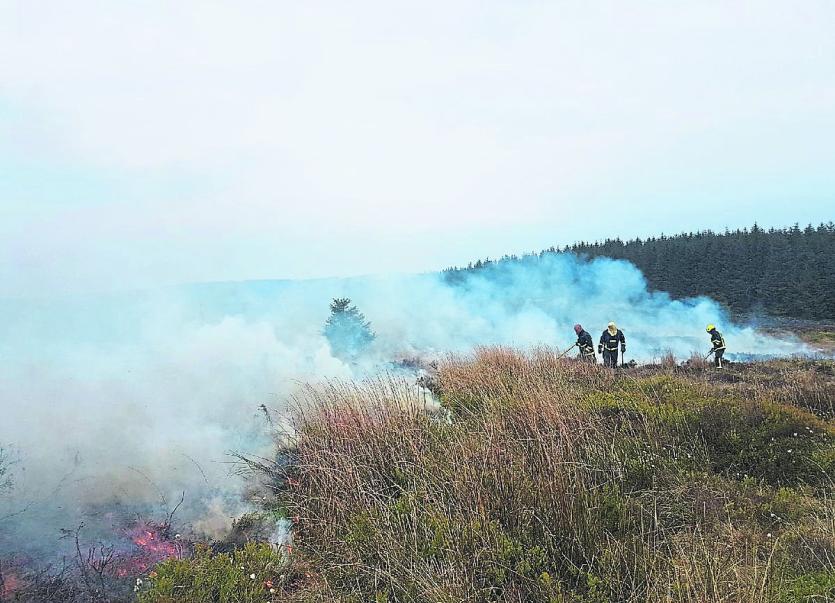 Warning issued about illegal burning of land Leitrim Observer